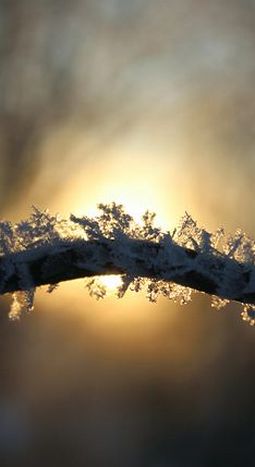 Анализ стихотворения Брюсова «Первый снег»